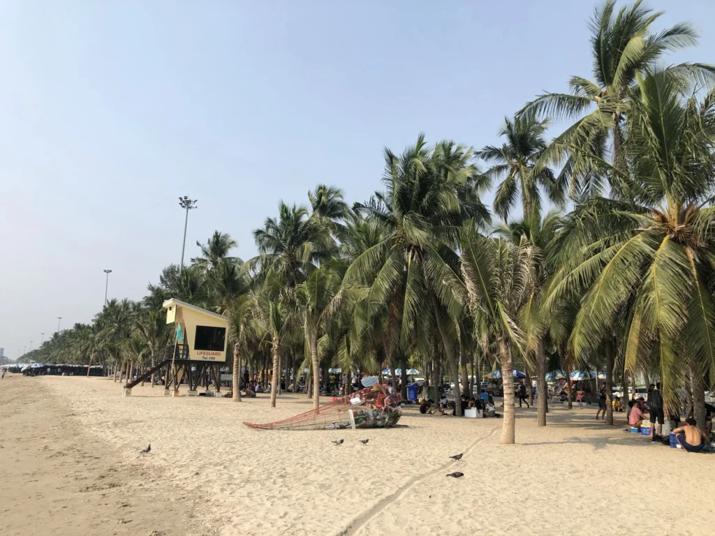 Palm trees and visitors along Bang Saen Beach in Chonburi
